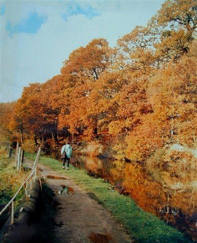 The canal at Gathurst The canal at Gathurst