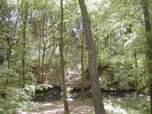 Borsdane Wood, Hindley Borsdane Wood, Hindley