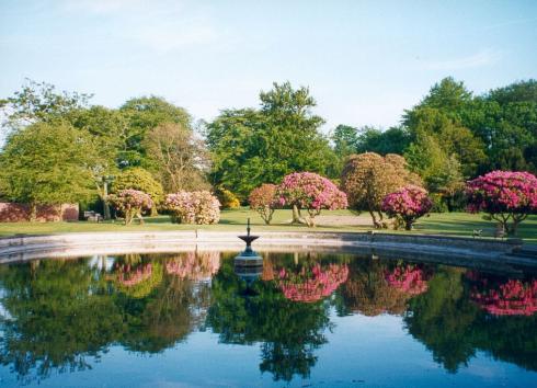Haigh Hall fish pond captured in summer Haigh Hall fish pond captured in summer