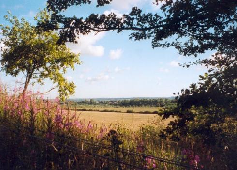 View from the canal bank at Haigh