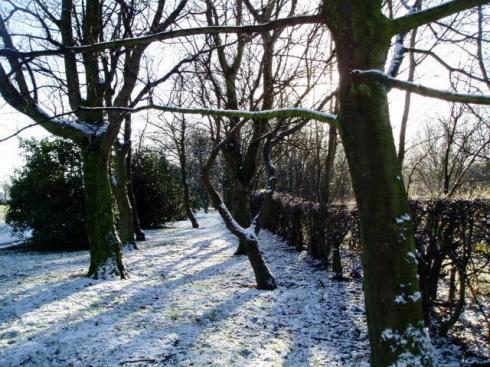 Leyland Park, Hindley Leyland Park, Hindley