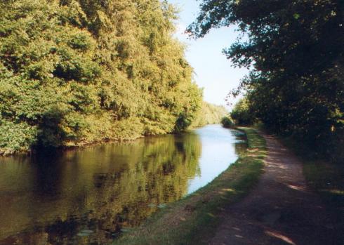 Canal at Haigh in the evening sunshine Canal at Haigh in the evening sunshine
