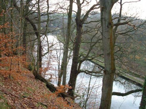 Leeds and Liverpool Canal at Gathurst