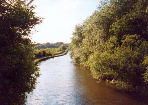 Looking towards Haigh Plantations