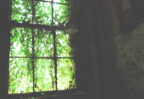 Spooky looking window! Spooky looking window!