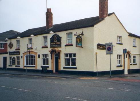 Old Pear Tree, Frog Lane