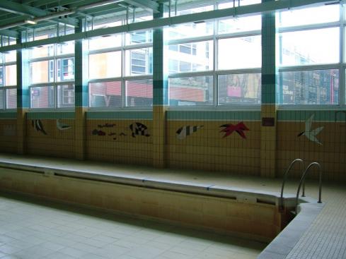 Wigan International Pool, Millgate