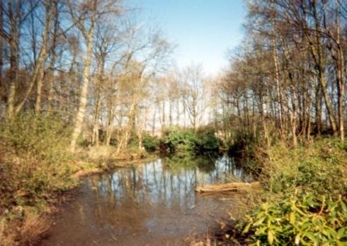 Winstanley Hall Winstanley Hall