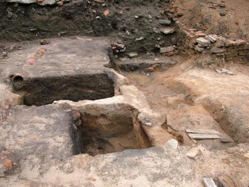 Close-up of part of the site Close-up of part of the site