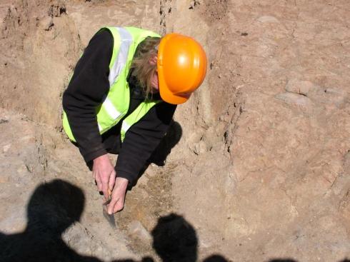 It's like Time Team Live! It's like Time Team Live!
