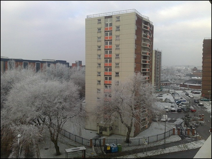 Snowy Scholes