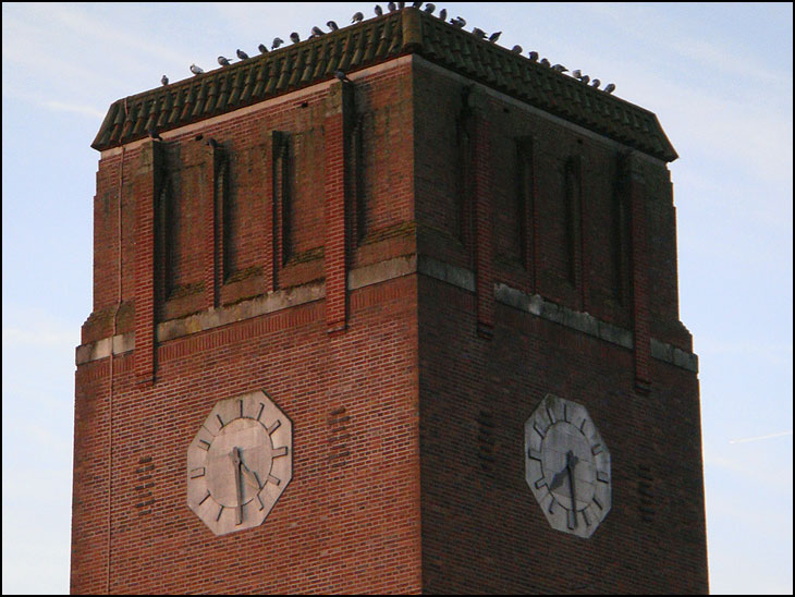 Two faces of time and pigeons