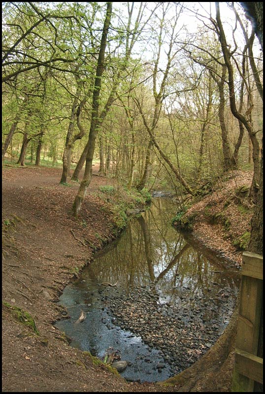 Borsdane Wood