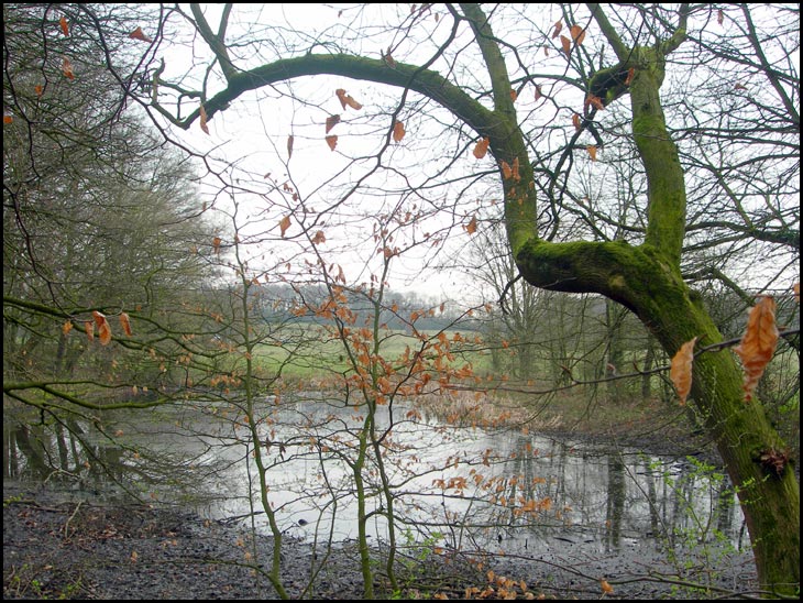 Curling Pond