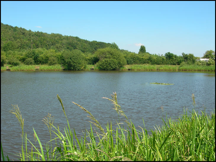 Woodshaw Reservoir, Aspull