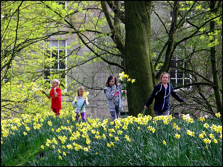 Gatherers