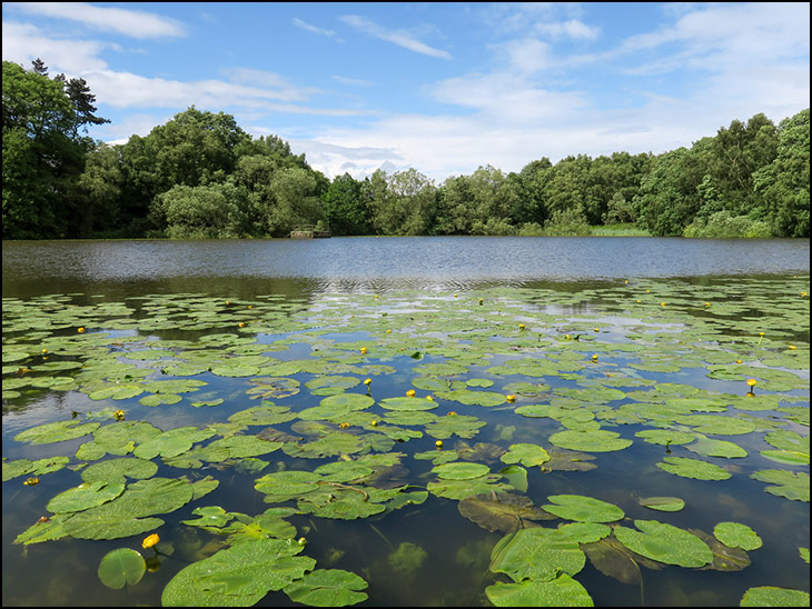 Worhtington Lakes