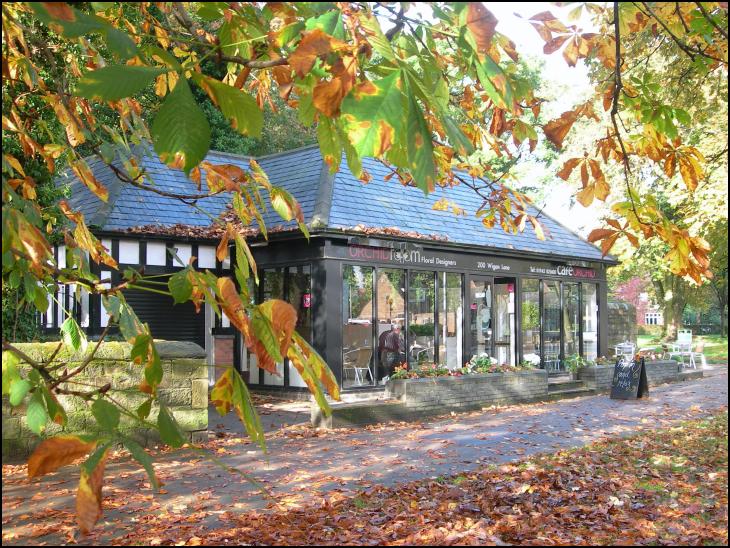 Autumn, Wigan Lane