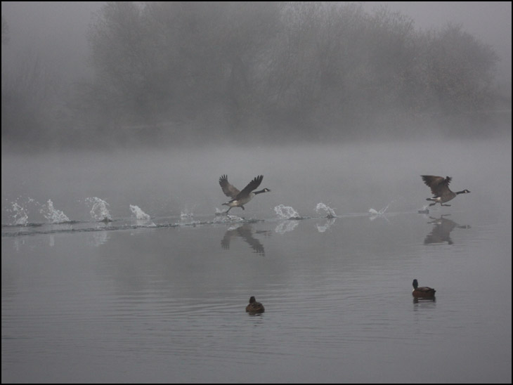 'First Flight'