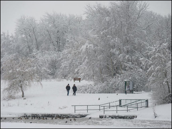 Walking In A Winter Water Park