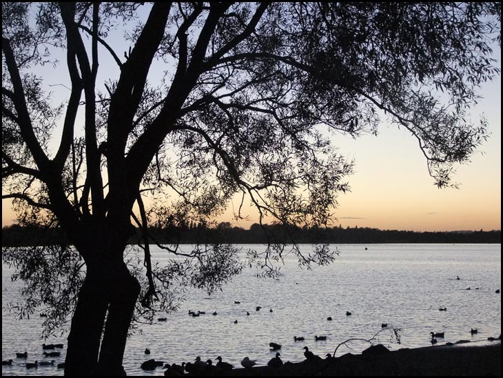 Pennington Flash