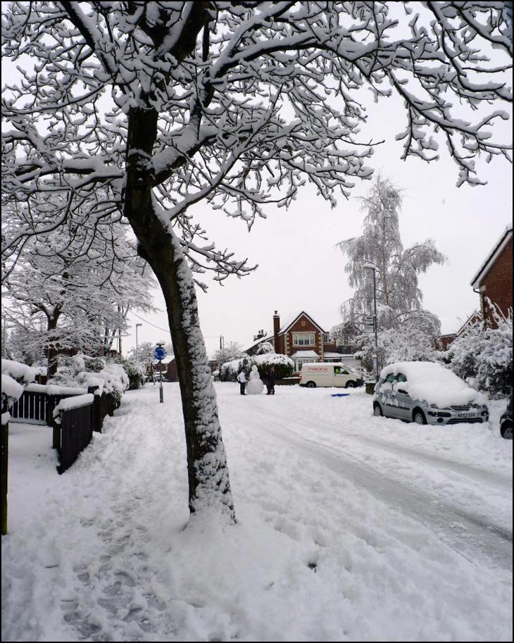 Snowy Lane