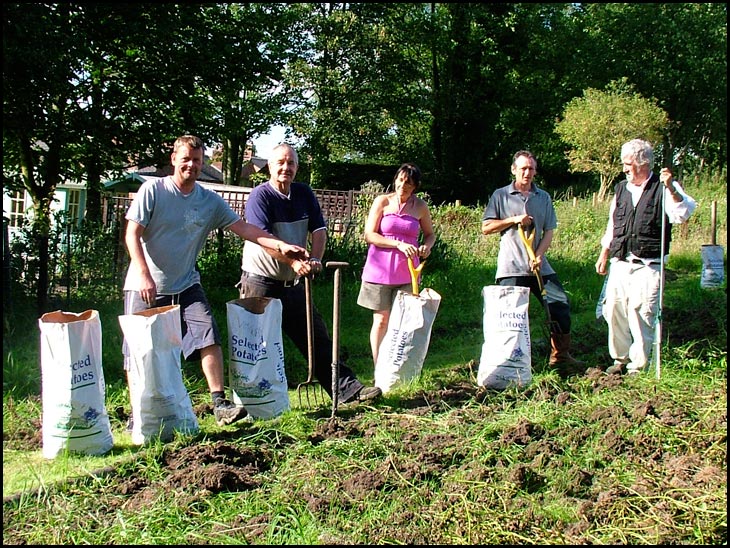 Potato picking