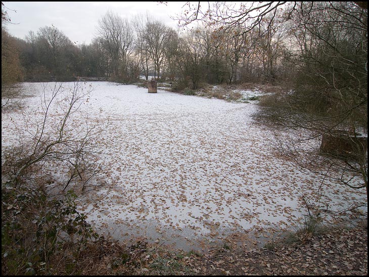 Taylor's pit pond.