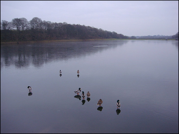 Walking on Water