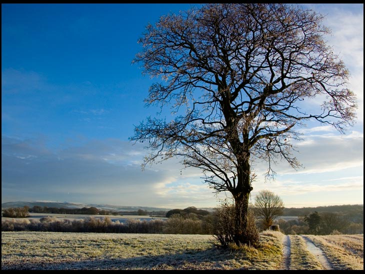 View near Worthington Reservoirs.