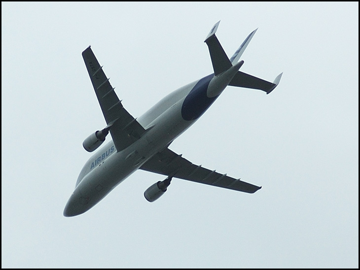 Airbus Beluga