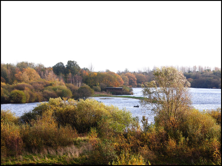 Autumn Colours