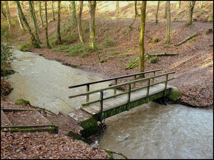 Borsdane Wood