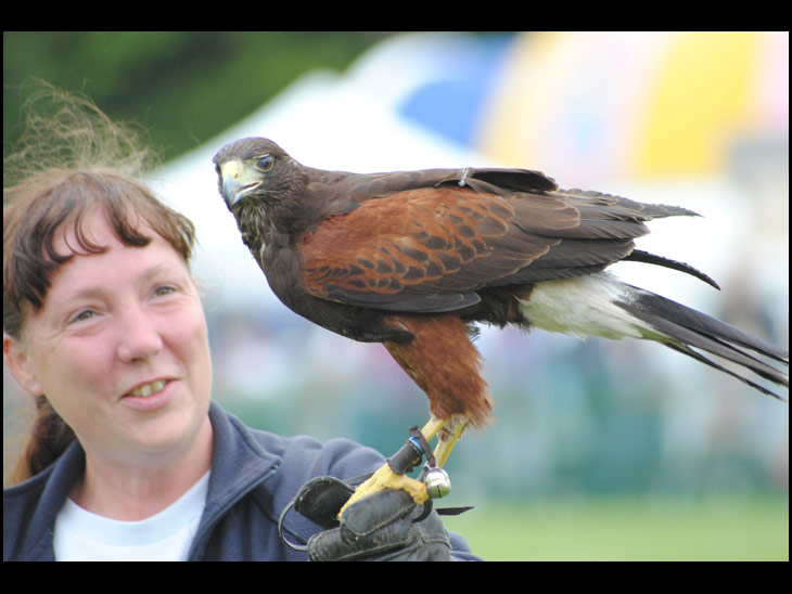 Haigh Show (4 of 4)