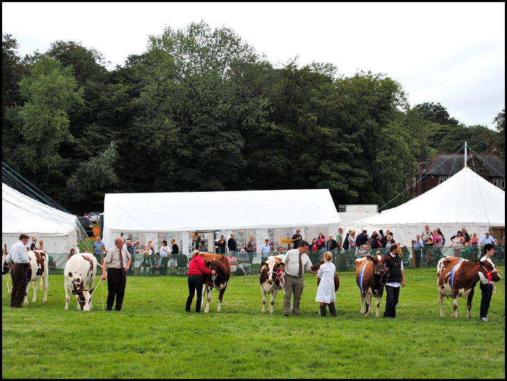 Haigh Show (1 of 4)