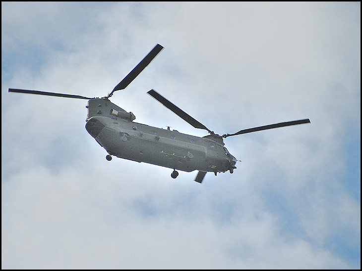 Chinook