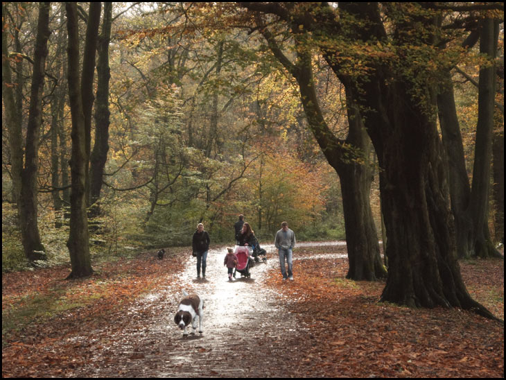 Dog walkers