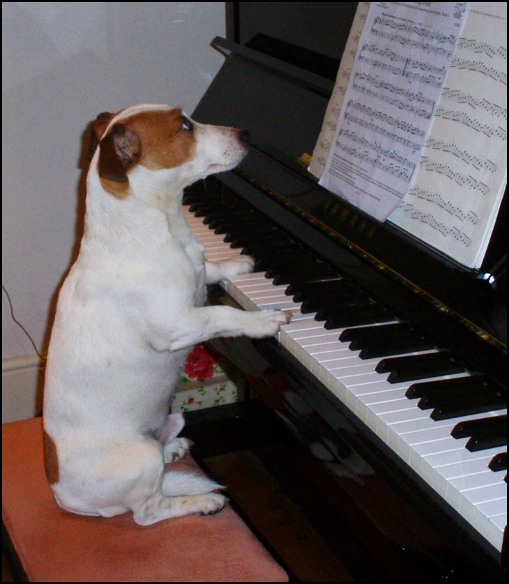 You hum it I'll play it