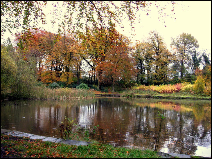 Swan Pond