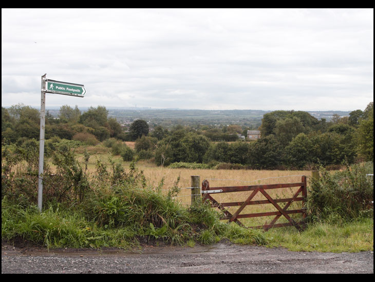 View from Higher Lane, New Springs