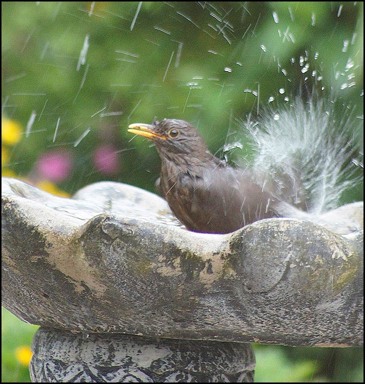 Cooling down