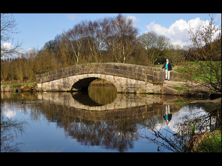 Bridge