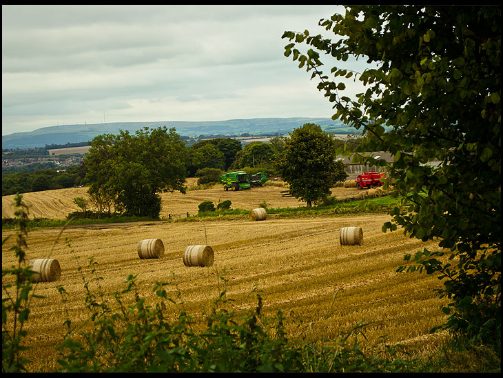 Making Hay