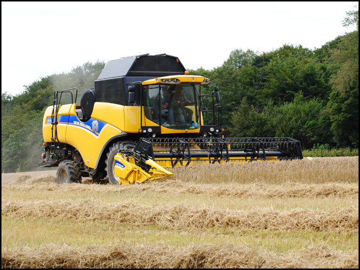 Harvest time