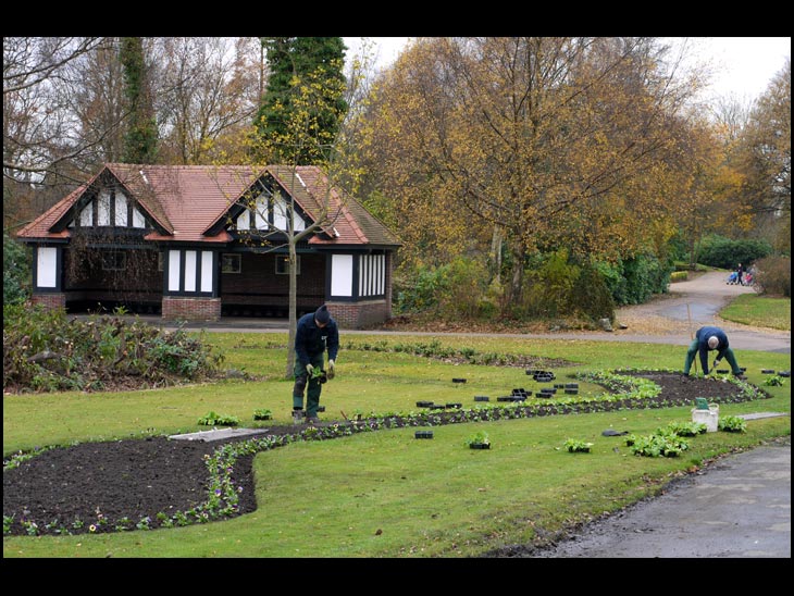 Planting Winter Beds