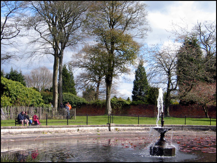 Lily Pond