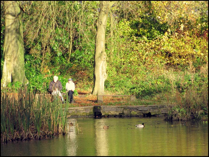 Swan Pond