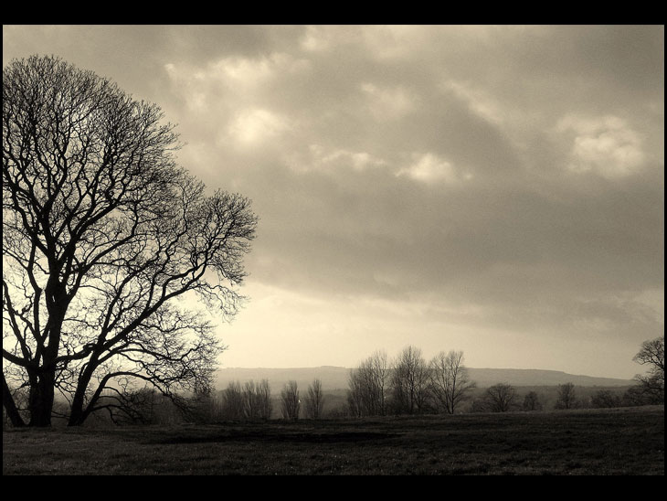 Ashurst Beacon