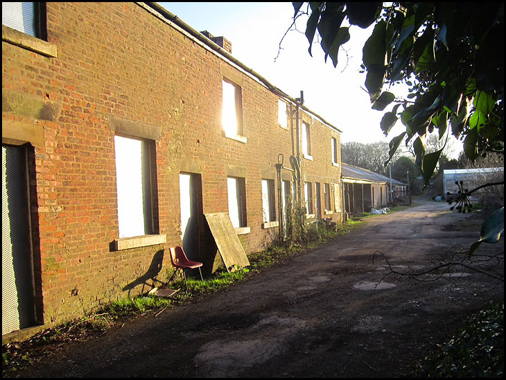 Cottages