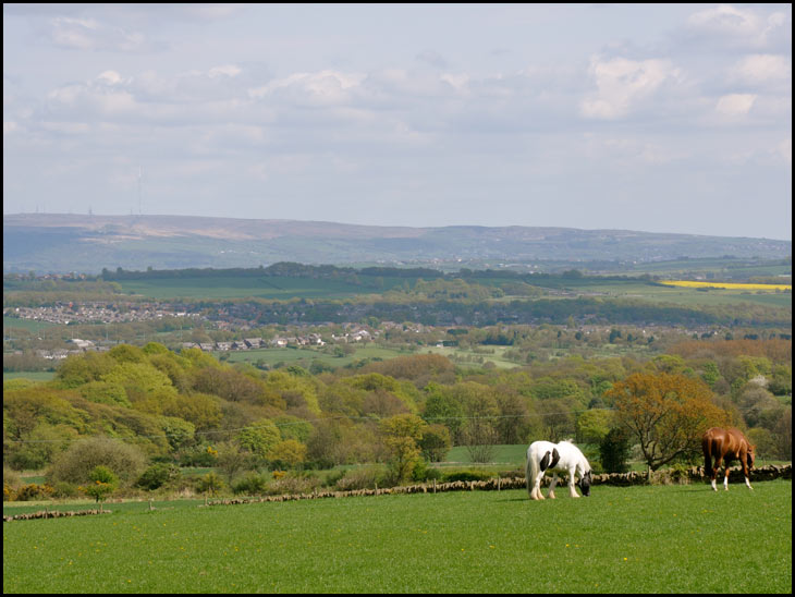 England's green and pleasant land